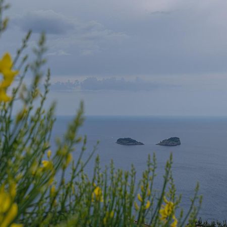Villa La Pace Sant’Agnello Kültér fotó