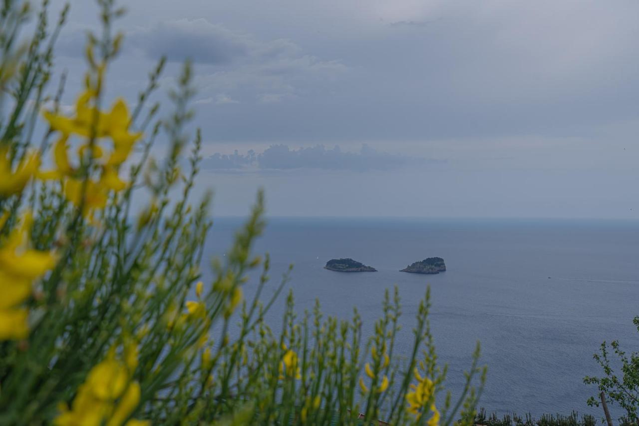 Villa La Pace Sant’Agnello Kültér fotó