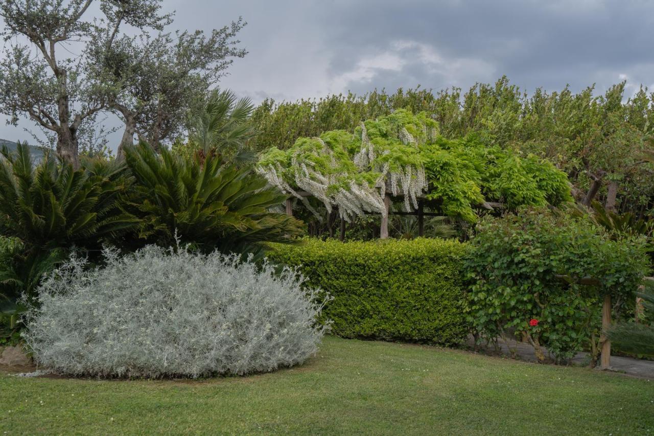 Villa La Pace Sant’Agnello Kültér fotó