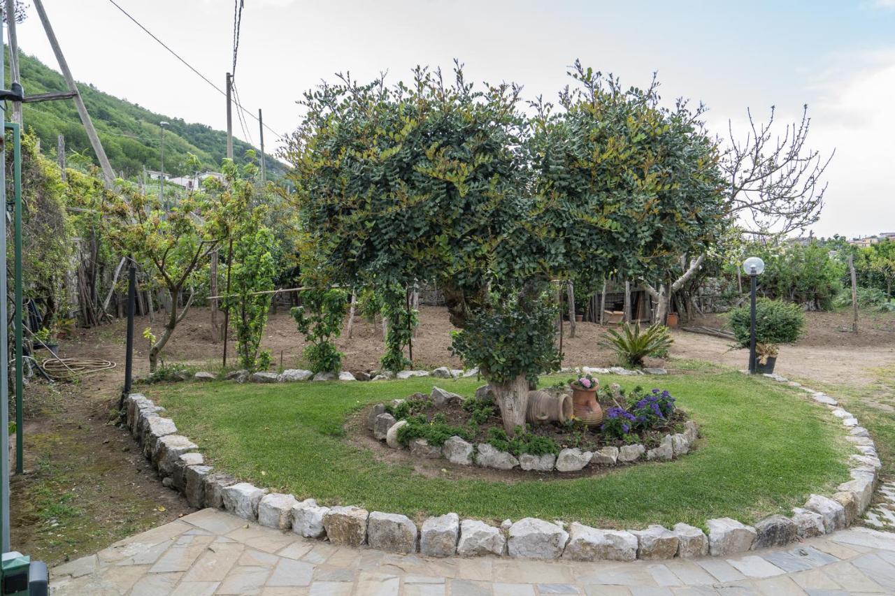 Villa La Pace Sant’Agnello Kültér fotó