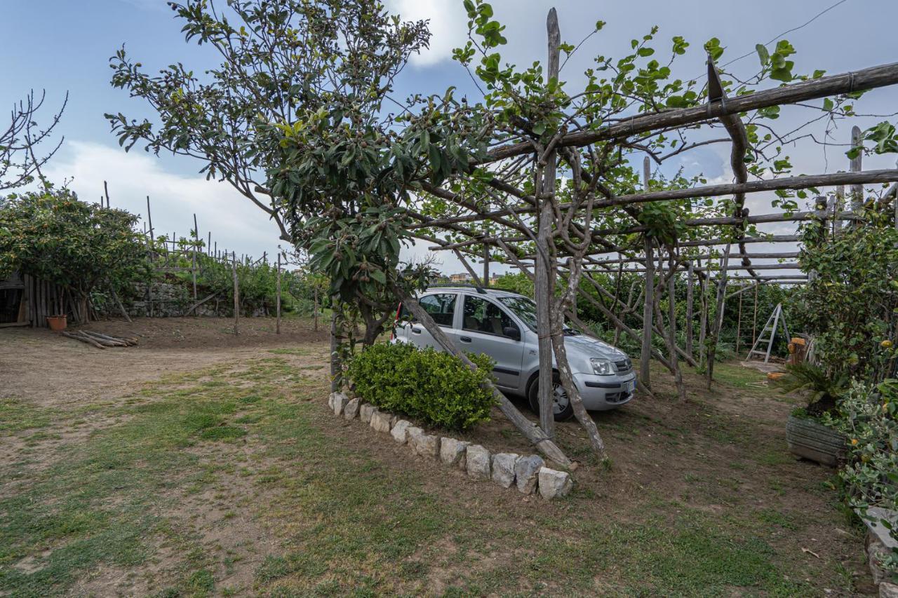 Villa La Pace Sant’Agnello Kültér fotó